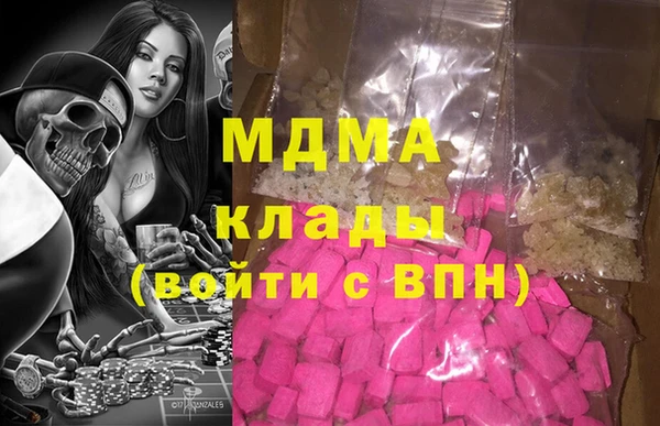 прущие грибы Балабаново