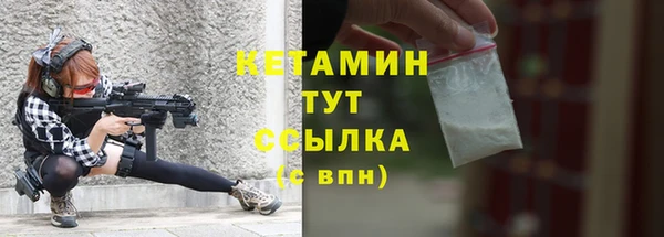 прущие грибы Балабаново