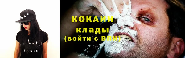 прущие грибы Балабаново