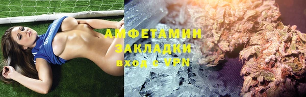прущие грибы Балабаново