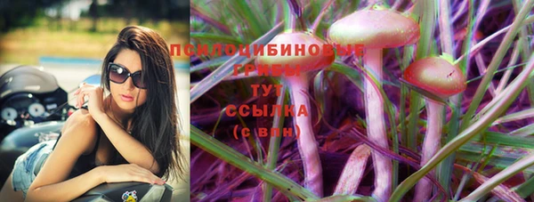 прущие грибы Балабаново
