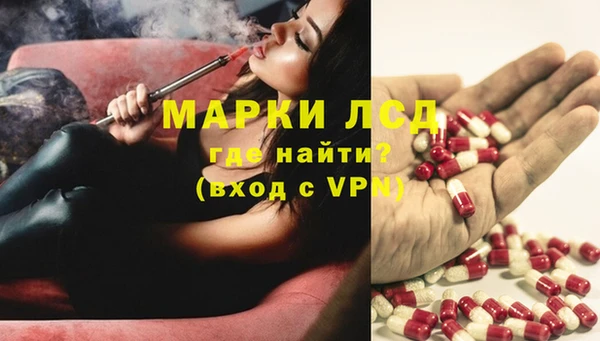прущие грибы Балабаново