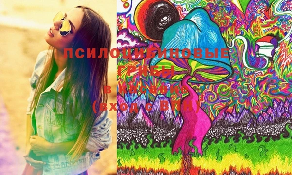 прущие грибы Балабаново