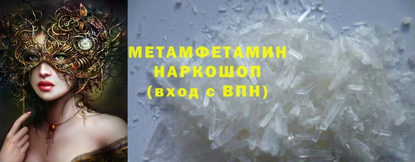 прущие грибы Балабаново