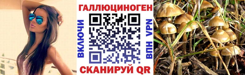 Купить где  Лихославль  Псилоцибиновые грибы ЛСД 